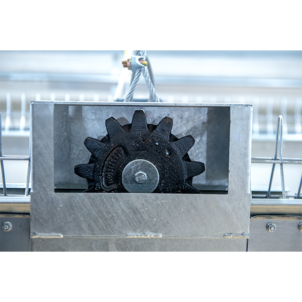 Breeder Feed Motor Gear