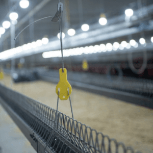 Hanging Wire